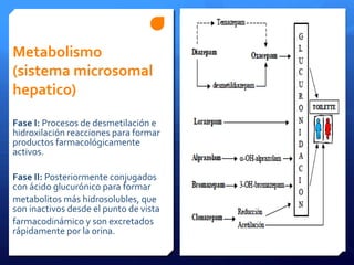Metabolismo
(sistema microsomal
hepatico)
Fase I: Procesos de desmetilación e
hidroxilación reacciones para formar
productos farmacológicamente
activos.
Fase II: Posteriormente conjugados
con ácido glucurónico para formar
metabolitos más hidrosolubles, que
son inactivos desde el punto de vista
farmacodinámico y son excretados
rápidamente por la orina.
 