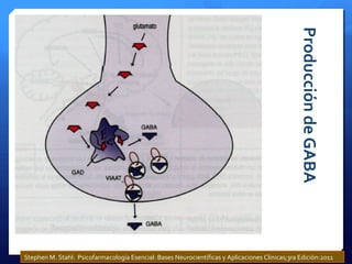 ProduccióndeGABA
Stephen M. Stahl: Psicofarmacología Esencial: Bases Neurocientíficas y Aplicaciones Clinicas;3ra Edición:2011
 