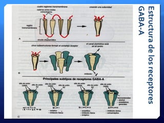 Estructuradelosreceptores
GABA-A
 