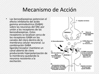 Mecanismo de Acción 
• Las benzodiazepinas potencian el 
efecto inhibitorio del ácido 
gamma aminobutírico (GABA) 
sobre las neuronas del SNC por 
unión a los receptores de las 
benzodiazepinas. Estos 
receptores se localizan cerca de 
los receptores GABA en los 
canales del cloro dentro de la 
membrana celular neuronal. La 
combinación GABA 
ligando/receptor mantiene un 
canal abierto de cloro 
produciendo hiperpolarización de 
la membrana quedando la 
neurona resistente a la 
excitación. 
 
