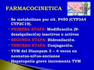  Se metabolizan por cit. P450 (CYP3A4
CYP2C19).
 PRIMERA ETAPA: Modificación (N-
desalquilación) inactivos o activos
 SEGUNDA ETAPA: Hidroxilación.
 TERCERA ETAPA: Conjugación.
 TVM del Diazepam 3 – 4 veces en
neonatos-niños-ancianos
 Hepatopatía grave incrementa TVM
 