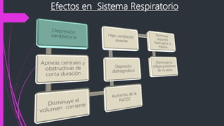 Efectos en Sistema Respiratorio
 