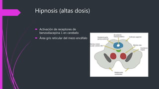 Hipnosis (altas dosis)
 Activación de receptores de
benzodiacepina 1 en cerebelo
 Área gris reticular del mezo encéfalo
 