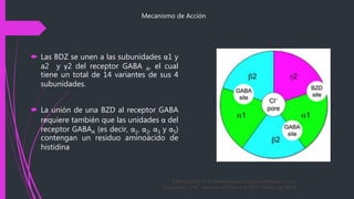  Las BDZ se unen a las subunidades α1 y
a2 y γ2 del receptor GABA A, el cual
tiene un total de 14 variantes de sus 4
subunidades.
 La unión de una BZD al receptor GABA
requiere también que las unidades α del
receptor GABAA (es decir, α1, α2, α3 y α5)
contengan un residuo aminoácido de
histidina
Mecanismo de Acción
 