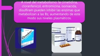 A nivel del metabolismo: la cimetidina,
cloranfenicol, eritromicina, isoniacida,
disulfiram pueden inhibir las enzimas que
metabolizan a las Bz, aumentando de este
modo sus niveles plasmáticos.
 