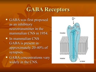 GABA Receptors GABA was first proposed as an inhibitory neurotransmitter in the mammalian CNS in 1954. In mammalian CNS GABA is present in approximately 20-40% of synapses. GABA concentrations vary widely in the CNS. 
