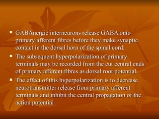 GABAnergic interneurons release GABA onto primary afferent fibres before they make synaptic contact in the dorsal horn of the spinal cord. The subsequent hyperpolarization of primary terminals may be recorded from the cut central ends of primary afferent fibres as dorsal root potential. The effect of this hyperpolarization is to decrease neurotransmitter release from primary afferent terminals and inhibit the central propagation of the action potential 