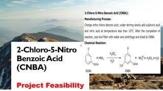 MARGIE'S
TRAVEL
1
M
2-Chloro-5-Nitro
BenzoicAcid
(CNBA)
Project Feasibility
 