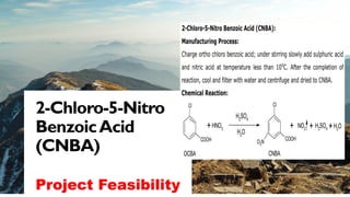 MARGIE'S
TRAVEL
3
M
2-Chloro-5-Nitro
BenzoicAcid
(CNBA)
Project Feasibility
 