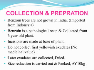 COLLECTION & PREPRATION
• Benzoin trees are not grown in India. (Imported
from Indonesia).
• Benzoin is a pathological resin & Collected from
6 year old plant.
• Incisions are made at base of plant.
• Do not collect first yellowish exudates (No
medicinal value) .
• Later exudates are collected, Dried.
• Size reduction is carried out & Packed, AY10kg
 