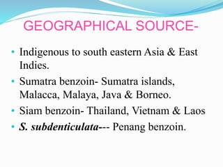 GEOGRAPHICAL SOURCE-
• Indigenous to south eastern Asia & East
Indies.
• Sumatra benzoin- Sumatra islands,
Malacca, Malaya, Java & Borneo.
• Siam benzoin- Thailand, Vietnam & Laos
• S. subdenticulata--- Penang benzoin.
 