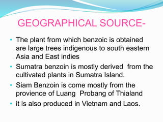 GEOGRAPHICAL SOURCE-
• The plant from which benzoic is obtained
are large trees indigenous to south eastern
Asia and East indies
• Sumatra benzoin is mostly derived from the
cultivated plants in Sumatra Island.
• Siam Benzoin is come mostly from the
provience of Luang Probang of Thialand
• it is also produced in Vietnam and Laos.
 