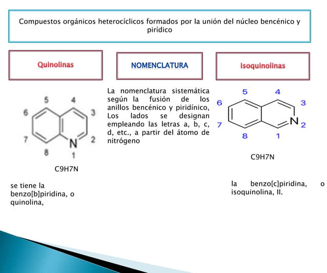 Benzopiridinas PPT