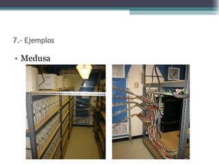 7.- Ejemplos

• Medusa
 
