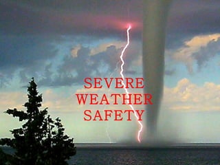 SEVERE
WEATHER
 SAFETY
 