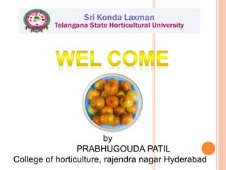 by
PRABHUGOUDA PATIL
College of horticulture, rajendra nagar Hyderabad
 