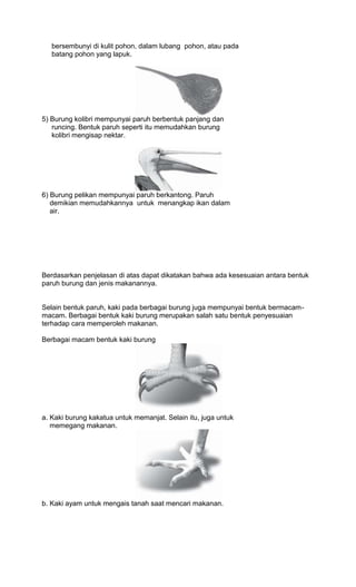 9900 Gambar Cakar Unggas Gratis Terbaru