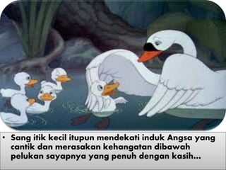 • Sang itik kecil itupun mendekati induk Angsa yang
cantik dan merasakan kehangatan dibawah
pelukan sayapnya yang penuh dengan kasih…
 
