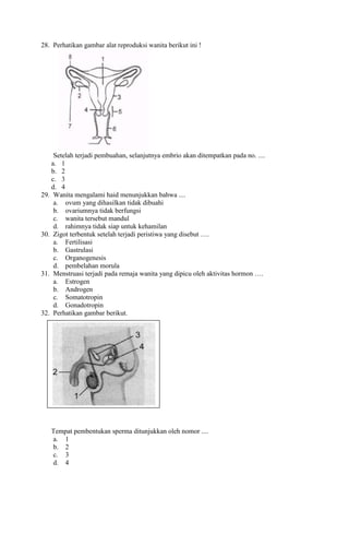 Berdasarkan gambar ini | PDF