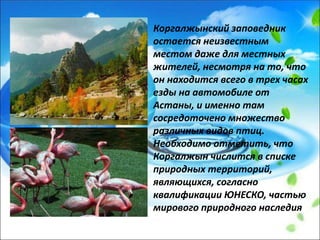 Коргалжынский заповедник
остается неизвестным
местом даже для местных
жителей, несмотря на то, что
он находится всего в трех часах
езды на автомобиле от
Астаны, и именно там
сосредоточено множество
различных видов птиц.
Необходимо отметить, что
Коргалжын числится в списке
природных территорий,
являющихся, согласно
квалификации ЮНЕСКО, частью
мирового природного наследия
 