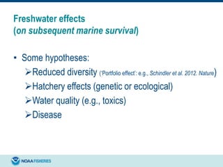Freshwater effects
(on subsequent marine survival)
• Some hypotheses:
Reduced diversity (‘Portfolio effect’: e.g., Schindler et al. 2012. Nature)
Hatchery effects (genetic or ecological)
Water quality (e.g., toxics)
Disease
 