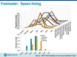 Freshwater: Spawn timing
DewattoRiver
TahuyaRiver
UnionRiver
NFSkokomishRiver
SFSkokomishRiver
HammaHamma
Duckabush
DosewallipsRiver
LittleQuilceneRiver
BigBeefCreek
0.00
0.10
0.20
0.30
0.40
0.50
0.60
0.70
0.80
0.90
Proportionofredds
Source: WDFW SGS Database & Hood Canal Steelhead Project
0.00
0.10
0.20
0.30
0.40
0.50
Proportionofredds
Kitsap
Peninsula
Olympic
Peninsula
 