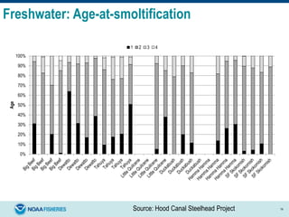 Source: Hood Canal Steelhead Project 14
0%
10%
20%
30%
40%
50%
60%
70%
80%
90%
100%
Age
1 2 3 4
Freshwater: Age-at-smoltification
 