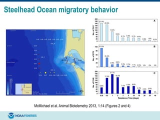 Steelhead Ocean migratory behavior
McMichael et al. Animal Biotelemetry 2013, 1:14 (Figures 2 and 4)
 