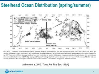 Steelhead Ocean Distribution (spring/summer)
Atcheson et al. 2010. Trans. Am. Fish. Soc. 141 (4)
19
 