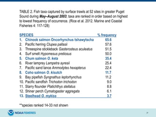 21
TABLE 2. Fish taxa captured by surface trawls at 52 sites in greater Puget
Sound during May–August 2003; taxa are ranked in order based on highest
to lowest frequency of occurrence. (Rice et al. 2012. Marine and Coastal
Fisheries 4: 117-128)
SPECIES % frequency
1. Chinook salmon Oncorhynchus tshawytscha 65.6
2. Paciﬁc herring Clupea pallasii 57.6
3. Threespine stickleback Gasterosteus aculeatus 51.5
4. Surf smelt Hypomesus pretiosus 50.0
5. Chum salmon O. keta 35.4
6. River lamprey Lampetra ayresii 25.4
7. Paciﬁc sand lance Ammodytes hexapterus 22.4
8. Coho salmon O. kisutch 11.7
9. Bay pipeﬁsh Syngnathus leptorhynchus 11.2
10. Paciﬁc sandﬁsh Trichodon trichodon 9.0
11. Starry ﬂounder Platichthys stellatus 8.8
12. Shiner perch Cymatogaster aggregata 6.1
13. Steelhead O. mykiss 3.7
**species ranked 14-33 not shown
 