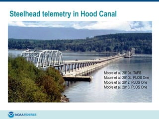 Steelhead telemetry in Hood Canal
Moore et al. 2010a. TAFS
Moore et al. 2010b. PLOS One
Moore et al. 2012. PLOS One
Moore et al. 2013. PLOS One
 