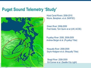 Puget Sound Telemetry ‘Study’
Hood Canal Rivers: 2006-2010
Moore, Berejikian, et al. (NWFSC)
Green River: 2006-2009
Fred Goetz, Tom Quinn et al (UW, ACOE)
Puyallup River: 2006, 2008-2009
Andrew Berger et al. (Puyallup Tribe)
Nisqually River: 2006-2009
Sayre Hodgson et al. (Nisqually Tribe)
Skagit River: 2006-2009
Ed Conner et al. (Seattle City Light)
 