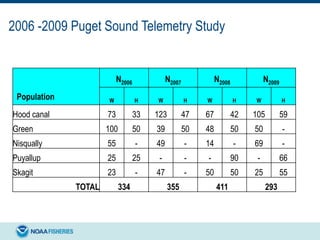 2006 -2009 Puget Sound Telemetry Study
Population
N2006 N2007 N2008 N2009
W H W H W H W H
Hood canal 73 33 123 47 67 42 105 59
Green 100 50 39 50 48 50 50 -
Nisqually 55 - 49 - 14 - 69 -
Puyallup 25 25 - - - 90 - 66
Skagit 23 - 47 - 50 50 25 55
TOTAL 334 355 411 293
 