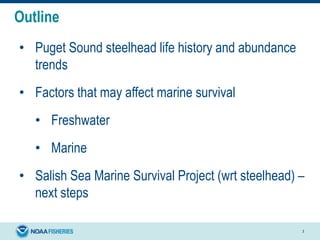 Outline
• Puget Sound steelhead life history and abundance
trends
• Factors that may affect marine survival
• Freshwater
• Marine
• Salish Sea Marine Survival Project (wrt steelhead) –
next steps
3
 