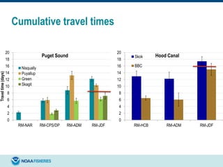 Cumulative travel times
0
2
4
6
8
10
12
14
16
18
20
RM-HCB RM-ADM RM-JDF
Hood CanalSkok
BBC
0
2
4
6
8
10
12
14
16
18
20
RM-NAR RM-CPS/DP RM-ADM RM-JDF
Traveltime(days)
Puget Sound
Nisqually
Puyallup
Green
Skagit
 