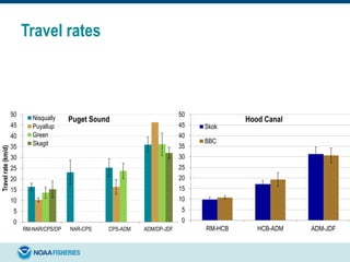 Travel rates
0
5
10
15
20
25
30
35
40
45
50
RM-NAR/CPS/DP NAR-CPS CPS-ADM ADM/DP-JDF
Travelrate(km/d)
Puget SoundNisqually
Puyallup
Green
Skagit
0
5
10
15
20
25
30
35
40
45
50
RM-HCB HCB-ADM ADM-JDF
Hood Canal
Skok
BBC
 