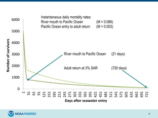 35
0
1000
2000
3000
4000
5000
6000
1
31
61
91
121
151
181
211
241
271
301
331
361
391
421
451
481
511
541
571
601
631
661
691
721
Numberofsurvivors
Days after seawater entry
River mouth to Pacific Ocean (21 days)
Adult return at 3% SAR (720 days)
Instantaneous daily mortality rates:
River mouth to Pacific Ocean (M = 0.086)
Pacific Ocean entry to adult return (M = 0.003)
 
