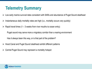 Telemetry Summary
 Low early marine survival rates consistent with SARs and abundance of Puget Sound steelhead
 Instantaneous daily mortality rates are high (i.e., mortality occurs very quickly)
 Rapid travel times (1 – 3 weeks from river mouths to ocean entry)
Puget sound may serve more a migratory corridor than a rearing environment
Has it always been this way, or is that part of the problem?
 Hood Canal and Puget Sound steelhead exhibit different patterns
 Central Puget Sound may represent a mortality hotspot
 