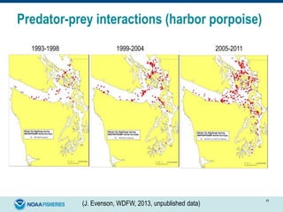 Predator-prey interactions (harbor porpoise)
(J. Evenson, WDFW, 2013, unpublished data)
43
1993-1998 1999-2004 2005-2011
 