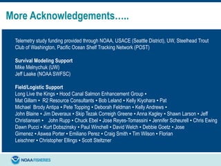More Acknowledgements…..
Telemetry study funding provided through NOAA, USACE (Seattle District), UW, Steelhead Trout
Club of Washington, Pacific Ocean Shelf Tracking Network (POST)
Survival Modeling Support
Mike Melnychuk (UW)
Jeff Laake (NOAA SWFSC)
Field/Logistic Support
Long Live the Kings ▪ Hood Canal Salmon Enhancement Group ▪
Mat Gillam ▪ R2 Resource Consultants ▪ Bob Leland ▪ Kelly Kiyohara ▪ Pat
Michael Brody Antipa ▪ Pete Topping ▪ Deborah Feldman ▪ Kelly Andrews ▪
John Blaine ▪ Jim Deveraux ▪ Skip Tezak Correigh Greene ▪ Anna Kagley ▪ Shawn Larson ▪ Jeff
Christiansen ▪ John Rupp ▪ Chuck Ebel ▪ Jose Reyes-Tomassini ▪ Jennifer Scheurell ▪ Chris Ewing
Dawn Pucci ▪ Kurt Dobszinsky ▪ Paul Winchell ▪ David Welch ▪ Debbie Goetz ▪ Jose
Gimenez ▪ Aswea Porter ▪ Emiliano Perez ▪ Craig Smith ▪ Tim Wilson ▪ Florian
Leischner ▪ Christopher Ellings ▪ Scott Steltzner
 