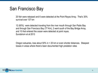6/3/2014 53
20 fish were released and 6 were detected at the Point Reyes Array. That’s 30%
survival over 137 km
12 (60%) were detected traveling from the river mouth through San Pablo Bay
and through San Francisco Bay (77 Km), 2 went south of the Bay Bridge Array,
and 10 that entered the ocean were detected at point reyes.
Sundstrom et al 2013
Oregon estuaries, lose about 50% in < 20 km or even shorter distances. Steepest
losses in areas where there’s been documented high predation rates
San Francisco Bay
 