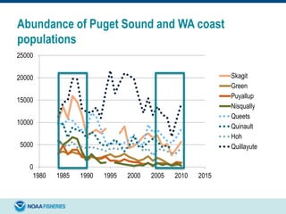 Abundance of Puget Sound and WA coast
populations
0
5000
10000
15000
20000
25000
1980 1985 1990 1995 2000 2005 2010 2015
Skagit
Green
Puyallup
Nisqually
Queets
Quinault
Hoh
Quillayute
 