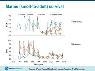 Marine (smolt-to-adult) survival
0%
2%
4%
6%
8%
10%
SAR
Lower Columbia Coast Puget Sound
0%
2%
4%
6%
8%
10%
1970 1975 1980 1985 1990 1995 2000 2005 2010
SAR
Brood year
Summer-run
Winter-run
Source: Puget Sound Steelhead Marine Survival Draft Workplan
 
