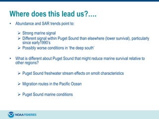Where does this lead us?….
• Abundance and SAR trends point to:
 Strong marine signal
 Different signal within Puget Sound than elsewhere (lower survival), particularly
since early1990’s
 Possibly worse conditions in ‘the deep south’
• What is different about Puget Sound that might reduce marine survival relative to
other regions?
 Puget Sound freshwater stream effects on smolt characteristics
 Migration routes in the Pacific Ocean
 Puget Sound marine conditions
 