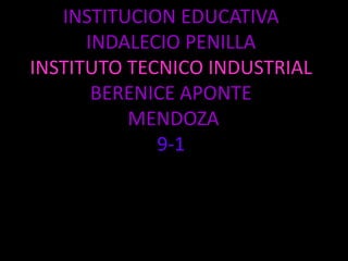 INSTITUCION EDUCATIVA INDALECIO PENILLAINSTITUTO TECNICO INDUSTRIALBERENICE APONTE MENDOZA9-1 