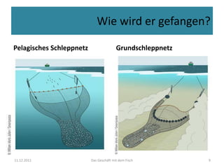 Grundschleppnetz der fischer