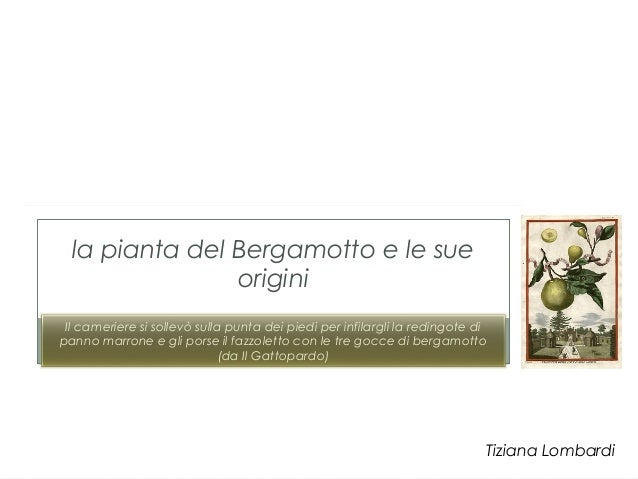Il Bergamotto