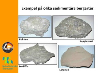 bergarter-och-bergartscykeln-geografi-lektionsmaterial-pptx