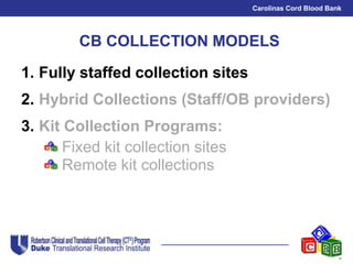 Cord Blood Collection Models | PDF