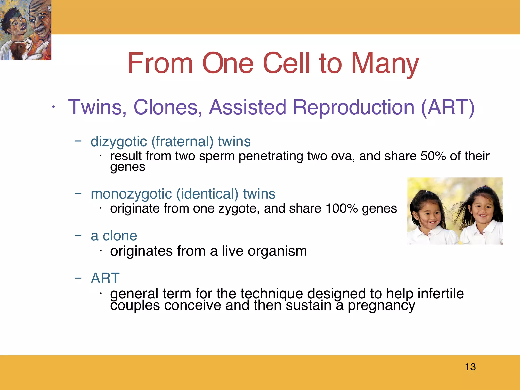 From One Cell to Many Twins, Clones, Assisted Reproduction (ART) dizygotic (fraternal) twins  result from two sperm penetrating two ova, and share 50% of their genes monozygotic (identical) twins   originate from one zygote, and share 100% genes a clone   originates from a live organism ART general term for the technique designed to help infertile couples conceive and then sustain a pregnancy 
